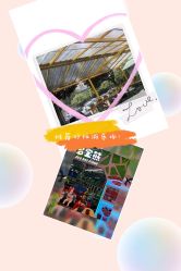 -多宝熊亲子乐园(瑞景商业广场店)