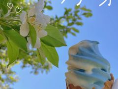 -上海辰山植物园