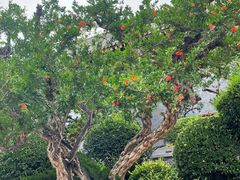 -西安华清御汤酒店