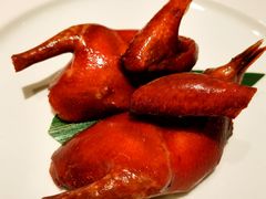 -茉里粤菜(皇姑万象汇店)