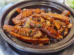 -清新鸡沙田乳鸽店(金融店)