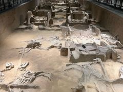 -洛阳周王城天子驾六博物馆