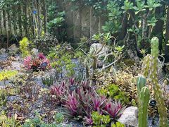 -中国科学院西双版纳热带植物园