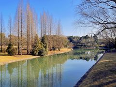 -东方绿舟景区