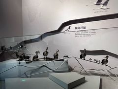 -武汉园博园(武汉自然博物馆)