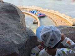 -贵安欢乐世界