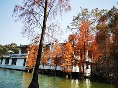 -广州市白云山风景名胜区