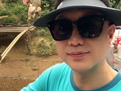 -西双版纳原始森林公园