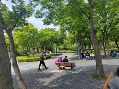 -南翔镇银翔湖公园