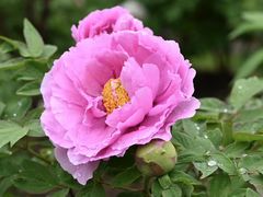 -江南大学(蠡湖校区)