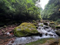 -碧峰峡风景区