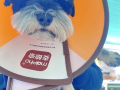 -美联众合动物医院(唯恩分院)