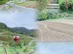 -汕尾铜鼎山旅游区