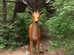 -周口店北京人遗址公园