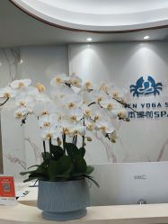 -奥本科技美肤·养生SPA