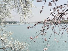 -颐和园