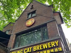 -Boxing Cat Brewery拳击猫精酿啤酒馆(永福店)