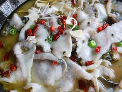 酸菜黑鱼-金三可市井水煮鱼(金碧园店)