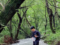 -铜陵市铜官山森林公园