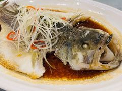 -晋阳饭庄(虎坊桥店)