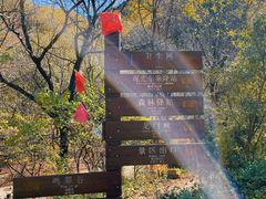 -关门山森林公园