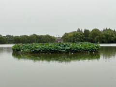 -洛阳市隋唐城遗址植物园