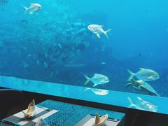 -瑞德姆美人鱼海底演艺主题餐厅(亚龙湾店)
