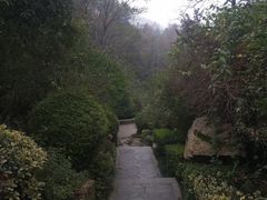 -桃花岭景区