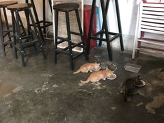 -时光转角咖啡馆(西康路店)