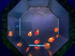 -海合安天津极地海洋公园