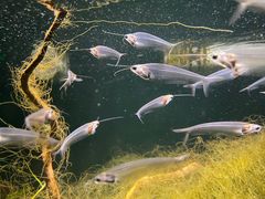 -太平洋海底世界