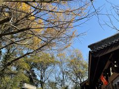 -西湖风景区十里琅珰-五云山