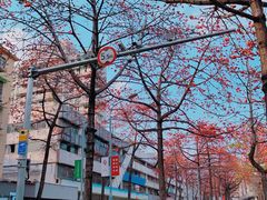 -广州近代史博物馆