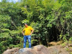 -广州白江湖森林公园