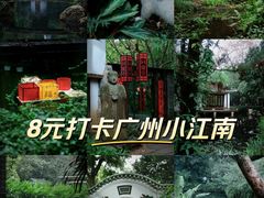 -广州兰圃