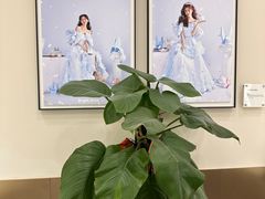 -HIMO海马体照相馆(上海华润CP静安店)