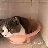 像这样？我家主子的高萌瞬间