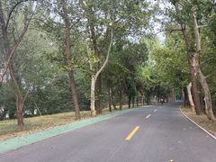 -洪泽湖古堰景区