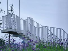 -金海湾滨江公园