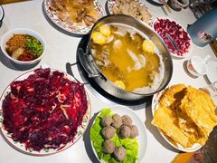 -汕头八合里海记牛肉店(清河店)