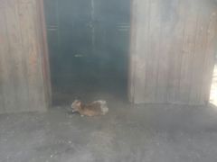 -无锡动物园·太湖欢乐园