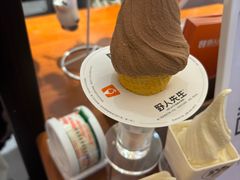 -野人先生Gelato(上海长宁龙之梦店)