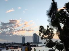 -三亚海棠湾喜来登度假酒店大堂吧