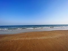 -日照海滨国家森林公园