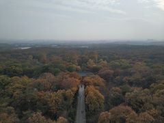 -灵谷景区