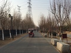 -永定河休闲森林公园