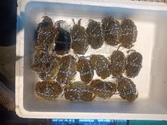 -徽三说·土徽菜·中国徽菜连锁品牌(一中店)