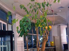 -花舍·新派粤菜·西餐·下午茶(亚运村·鸟巢店)