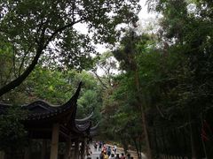 -灵岩山风景区