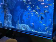 -渔火·特色餐厅(佘山世茂洲际酒店)